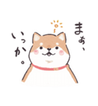 のんびりきままなシバ犬（個別スタンプ：14）