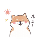 のんびりきままなシバ犬（個別スタンプ：15）