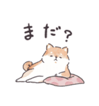 のんびりきままなシバ犬（個別スタンプ：17）
