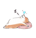 のんびりきままなシバ犬（個別スタンプ：19）