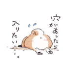 のんびりきままなシバ犬（個別スタンプ：24）