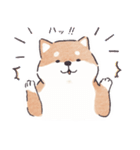 のんびりきままなシバ犬（個別スタンプ：25）