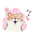 のんびりきままなシバ犬（個別スタンプ：29）