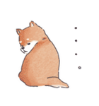 のんびりきままなシバ犬（個別スタンプ：30）
