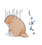 のんびりきままなシバ犬（個別スタンプ：31）