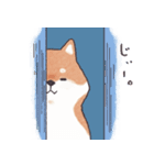 のんびりきままなシバ犬（個別スタンプ：32）