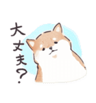 のんびりきままなシバ犬（個別スタンプ：37）