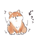 のんびりきままなシバ犬（個別スタンプ：39）