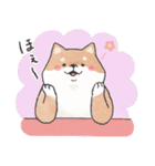 のんびりきままなシバ犬（個別スタンプ：40）