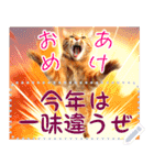 【再販】新春噴射猫メッセージ（個別スタンプ：1）