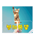 【再販】新春噴射猫メッセージ（個別スタンプ：8）