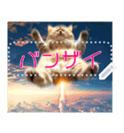 【再販】新春噴射猫メッセージ（個別スタンプ：10）