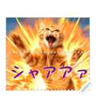 【再販】新春噴射猫メッセージ（個別スタンプ：11）