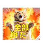 【再販】新春噴射猫メッセージ（個別スタンプ：14）