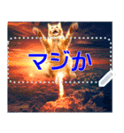 【再販】新春噴射猫メッセージ（個別スタンプ：17）