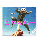 【再販】新春噴射猫メッセージ（個別スタンプ：18）