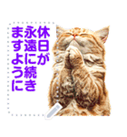 【再販】新春噴射猫メッセージ（個別スタンプ：21）