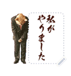 【再販】新春噴射猫メッセージ（個別スタンプ：22）