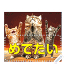 【再販】新春噴射猫メッセージ（個別スタンプ：24）