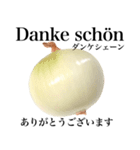 国産玉ねぎ【ドイツ語】（個別スタンプ：1）