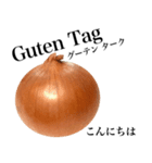 国産玉ねぎ【ドイツ語】（個別スタンプ：4）