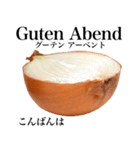 国産玉ねぎ【ドイツ語】（個別スタンプ：5）