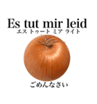 国産玉ねぎ【ドイツ語】（個別スタンプ：11）