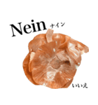 国産玉ねぎ【ドイツ語】（個別スタンプ：14）