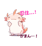 あざとかわいい神秘生物♡台湾語・日本語（個別スタンプ：9）