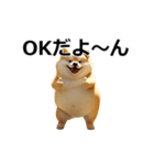 動く むちしば100％（個別スタンプ：1）