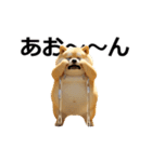 動く むちしば100％（個別スタンプ：3）