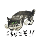 下杉正子新しいのね（個別スタンプ：1）