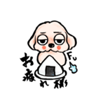 ゆるだる犬【太郎】6（個別スタンプ：8）