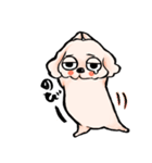 ゆるだる犬【太郎】6（個別スタンプ：9）