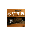 小花達の日常会話スタンプ4（日本語）（個別スタンプ：4）