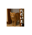 小花達の日常会話スタンプ4（日本語）（個別スタンプ：7）