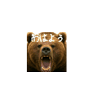 ワールドベアーズ6 日常編（日本語）（個別スタンプ：1）