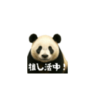 ワールドベアーズ6 日常編（日本語）（個別スタンプ：7）