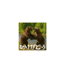 ワールドベアーズ6 日常編（日本語）（個別スタンプ：13）