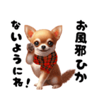 可愛いチワワの秋冬年末年始（個別スタンプ：3）