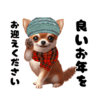 可愛いチワワの秋冬年末年始（個別スタンプ：7）