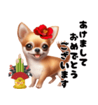 可愛いチワワの秋冬年末年始（個別スタンプ：8）