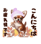 可愛いチワワの秋冬年末年始（個別スタンプ：10）