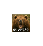 ワールドベアーズ6 受け答え編（日本語）（個別スタンプ：2）