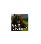 ワールドベアーズ6 受け答え編（日本語）（個別スタンプ：16）