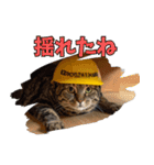 地震で心配防災メッセージ（個別スタンプ：4）