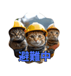 地震で心配防災メッセージ（個別スタンプ：6）