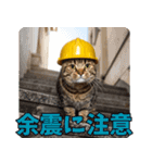 地震で心配防災メッセージ（個別スタンプ：8）