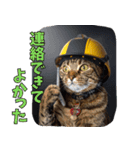 地震で心配防災メッセージ（個別スタンプ：10）