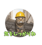 地震で心配防災メッセージ（個別スタンプ：13）